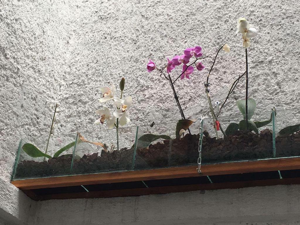 Hotel La Herradura テコサウトラ エクステリア 写真