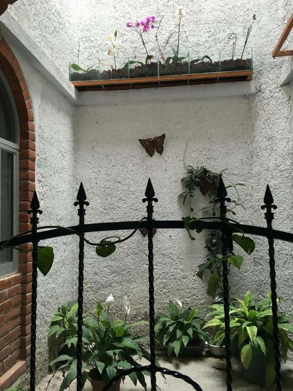 Hotel La Herradura テコサウトラ エクステリア 写真
